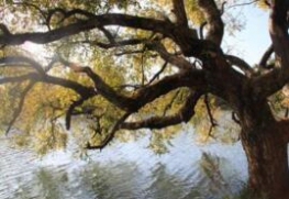 ����kolon sport�������ҵ���������