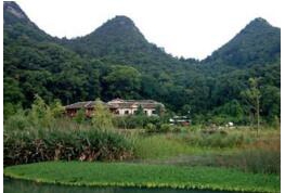 ������ָ�����л�����ѻ�������������ֱ�